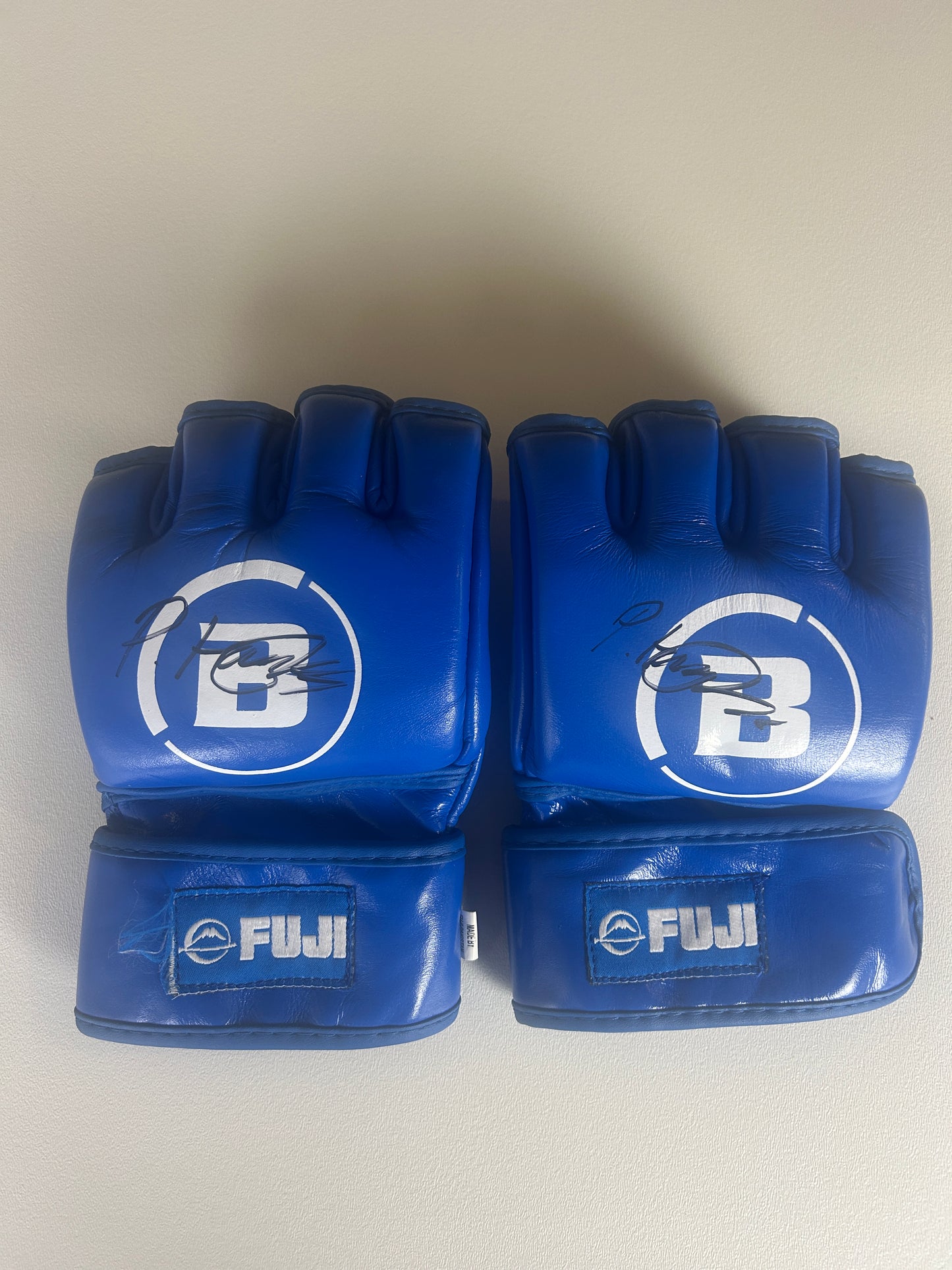 Paul Hughes Fight Worn Signed Gloves Vs AJ McKee