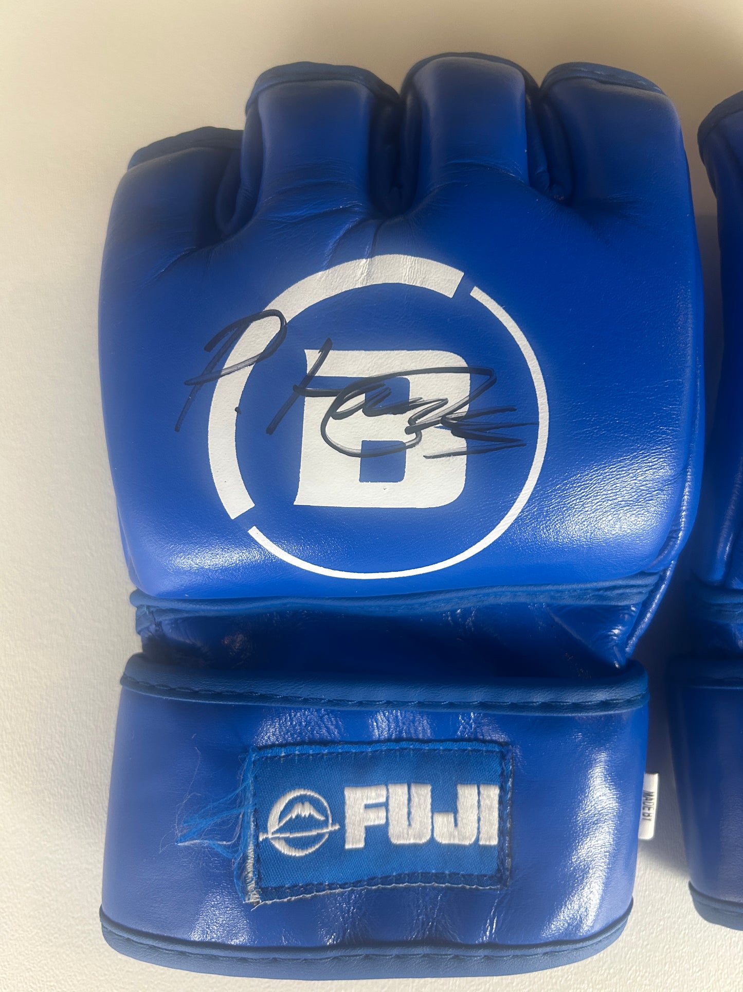 Paul Hughes Fight Worn Signed Gloves Vs AJ McKee