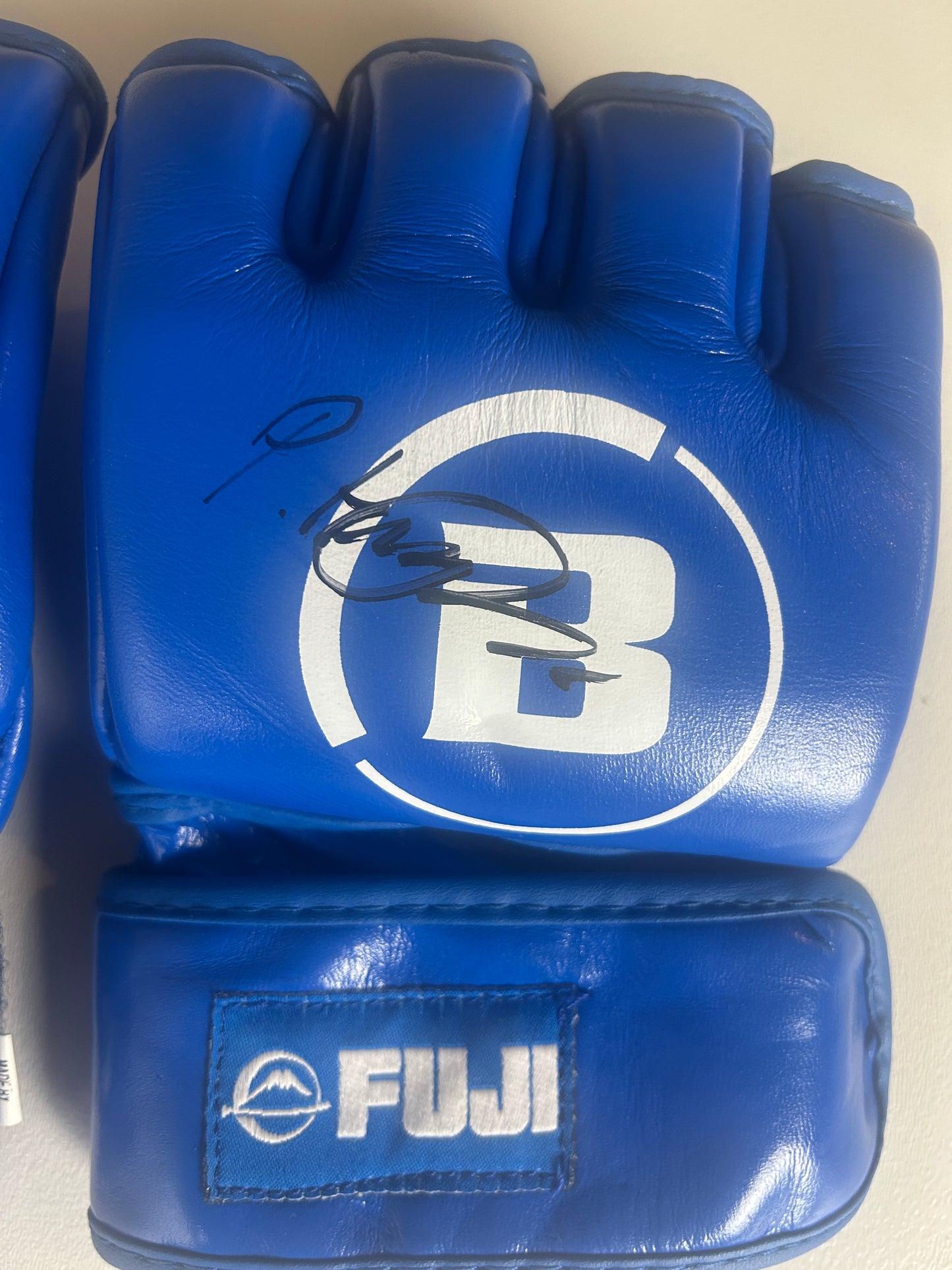 Paul Hughes Fight Worn Signed Gloves Vs AJ McKee