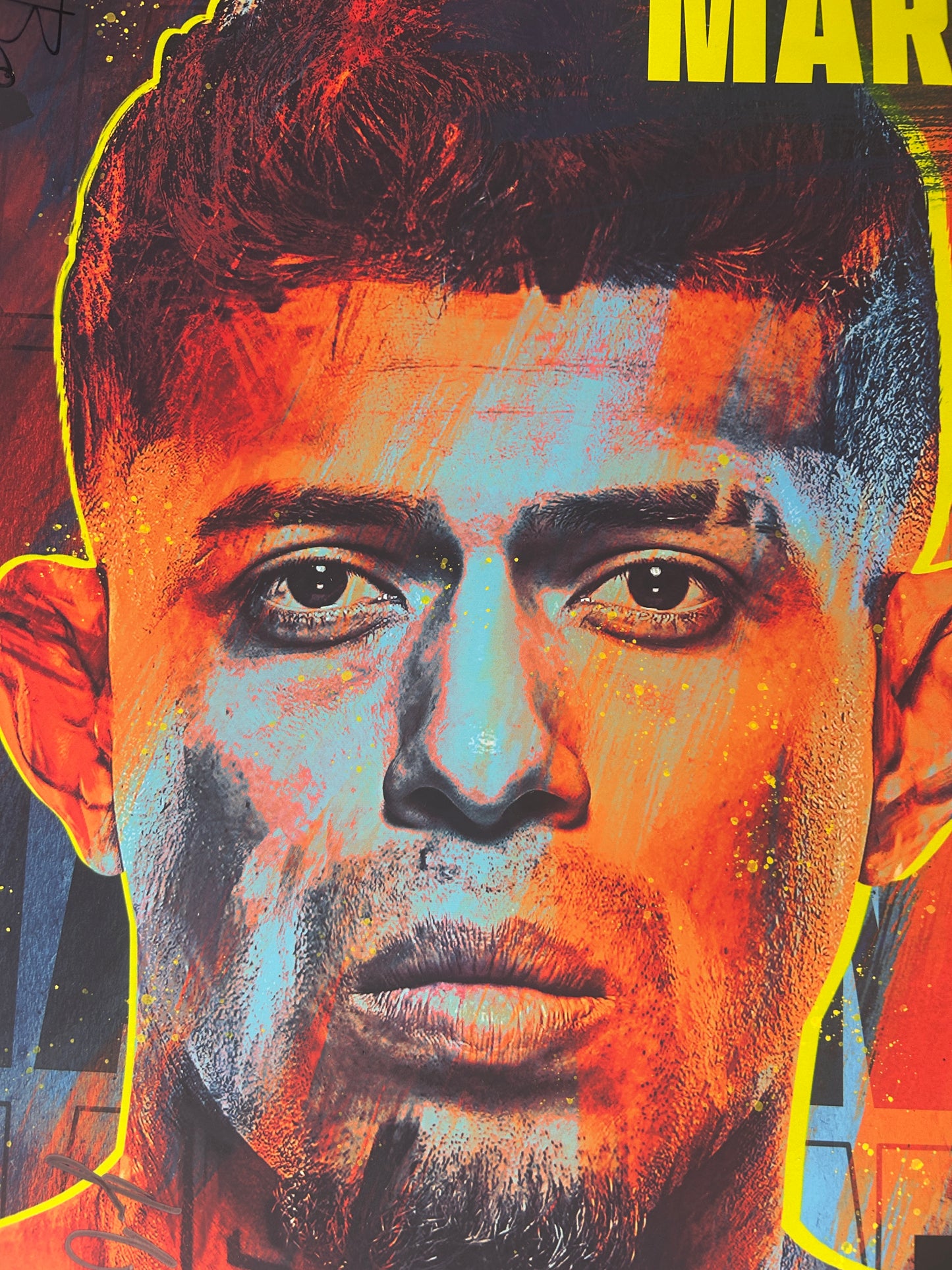 UFC 301 Pantoja vs. Erceg Signed Event Poster #1 of 140