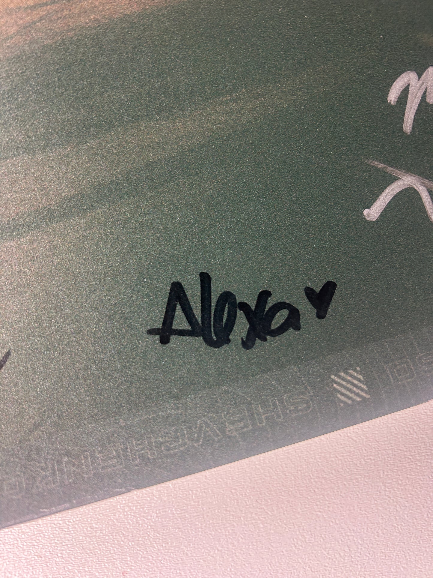 UFC 285 Shevchenko Vs Grasso Signed Event Poster