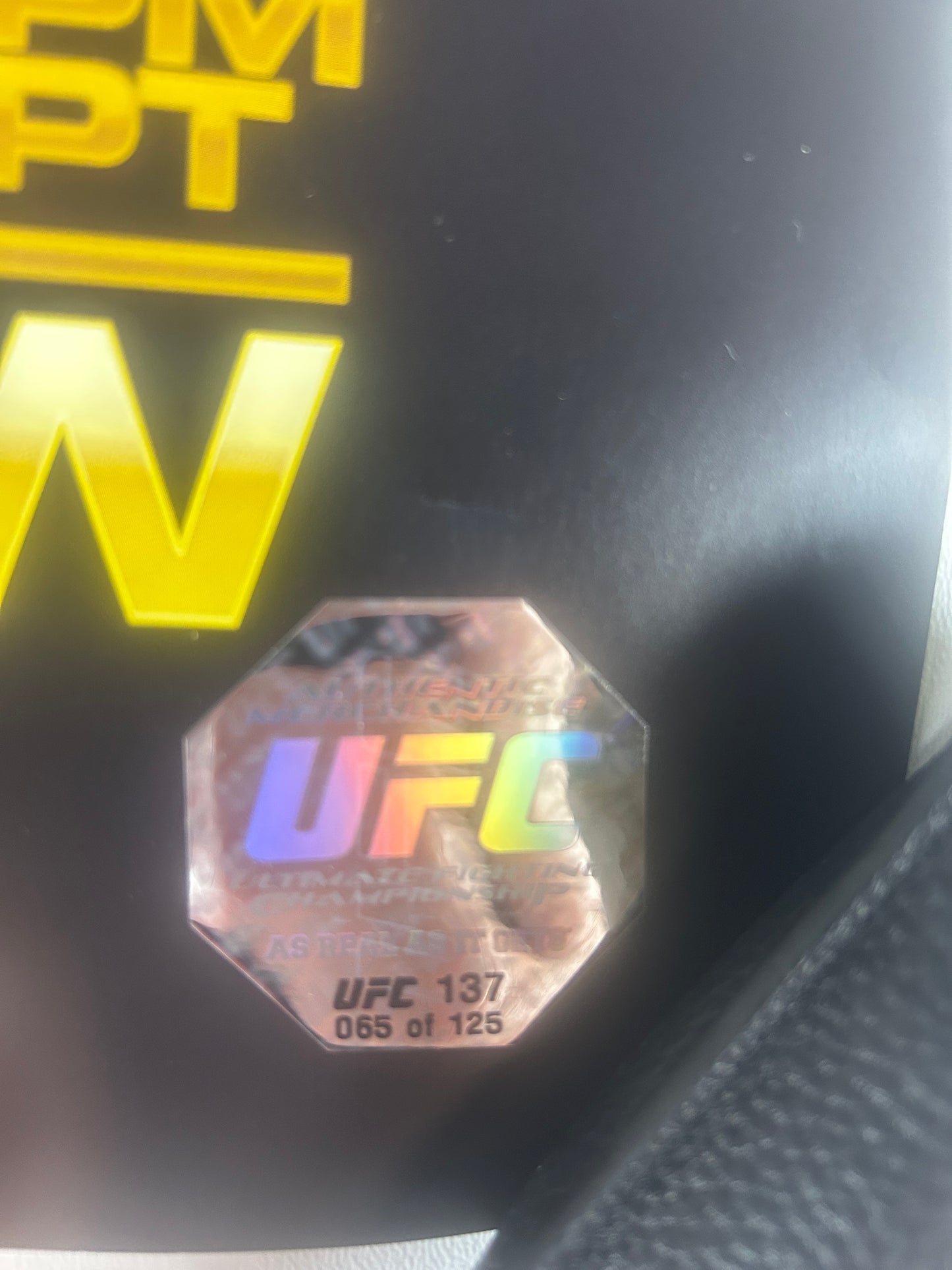 UFC 137 Nick Diaz Vs BJ Penn Signed Event Poster