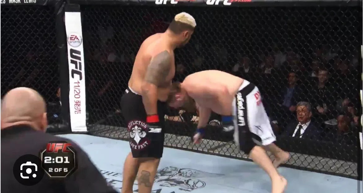 UFC Mark Hunt Vs Roy Nelson Signed Event Poster SBC Japan 2014