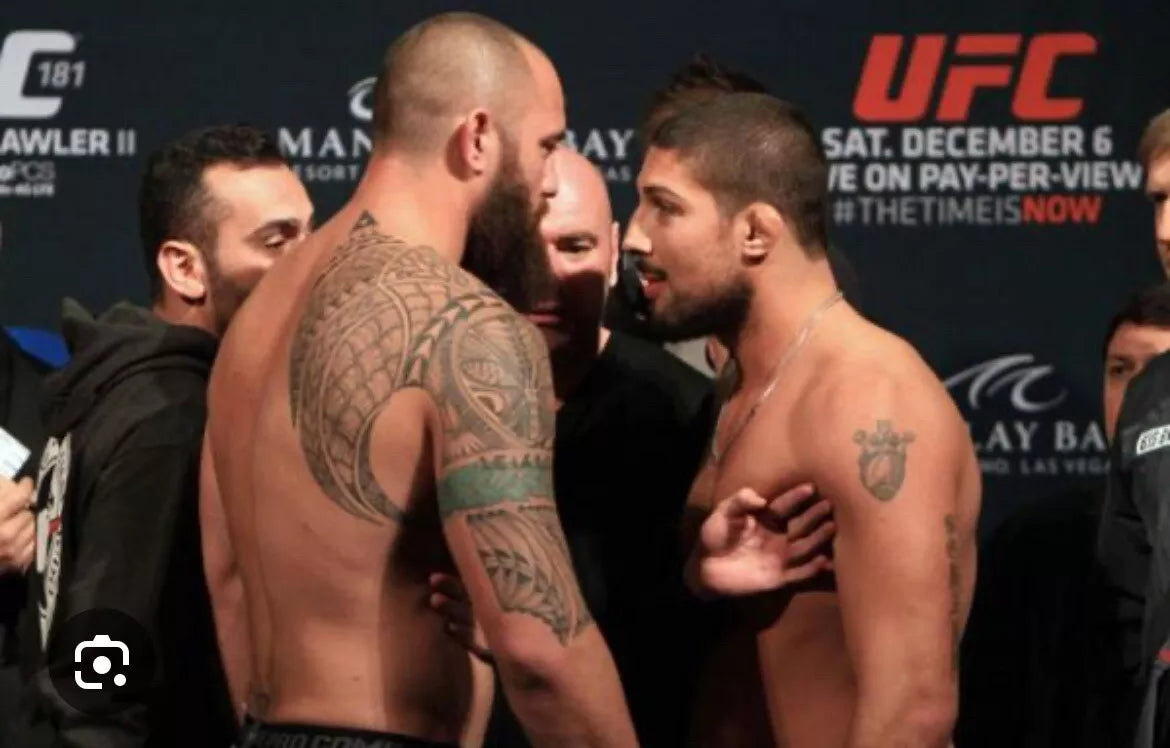 UFC 181 Hendricks Vs Robbie Lawler 2 Signed Event Poster SBC