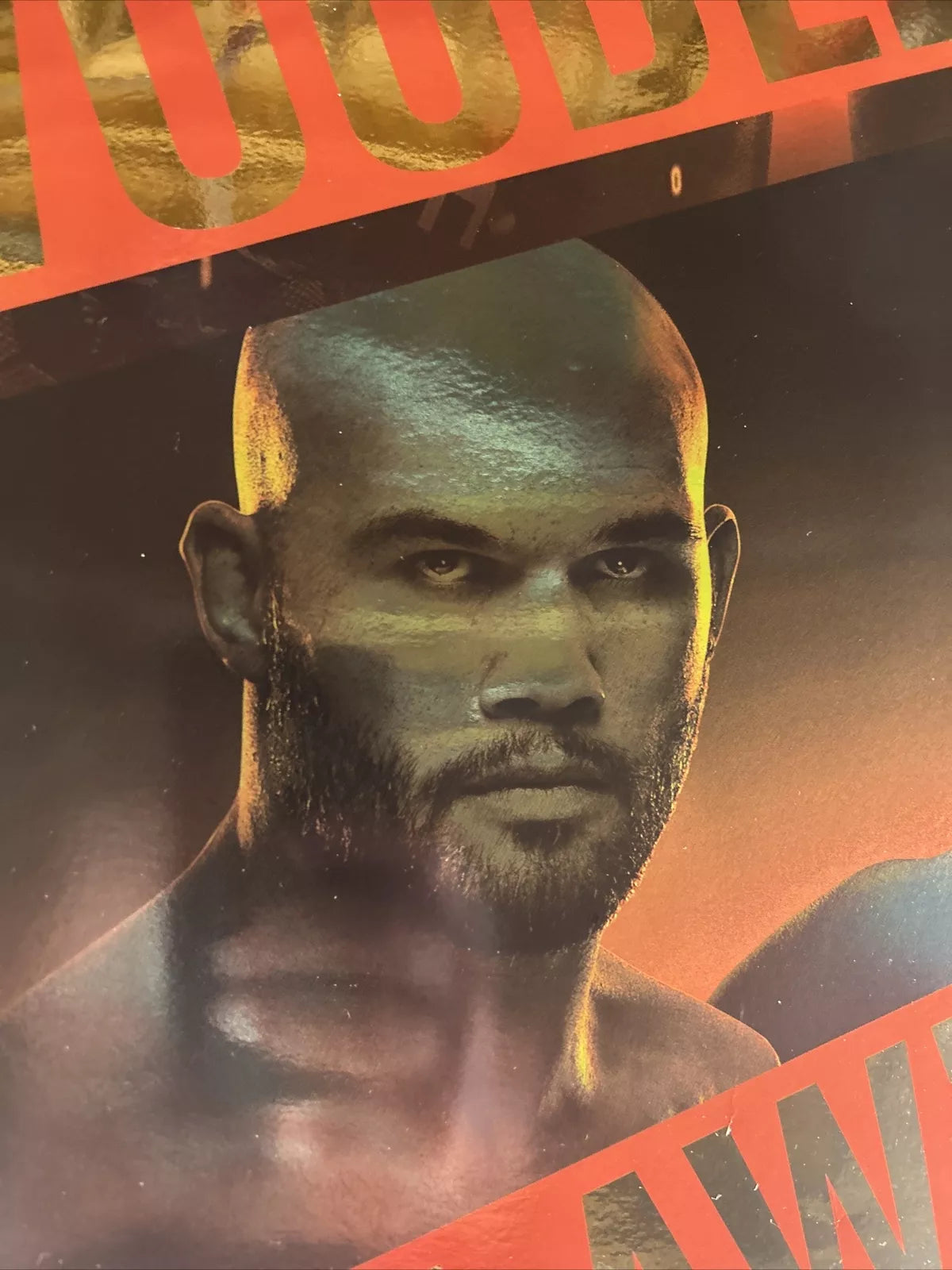 UFC 235 Jon Jones Vs Smith Signed Event Poster SBC