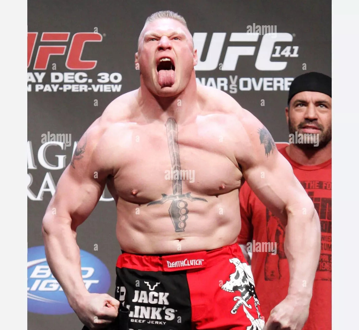 UFC 141 Brock Lesnar Vs Overeem Signed Event Poster SBC