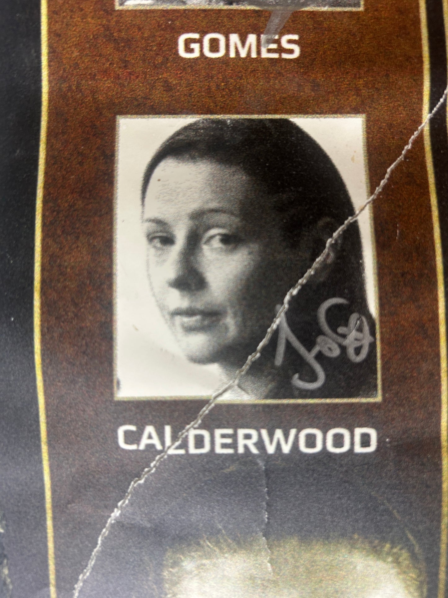 (BAD DAMAGE) Invicta 4 Signed Event Poster