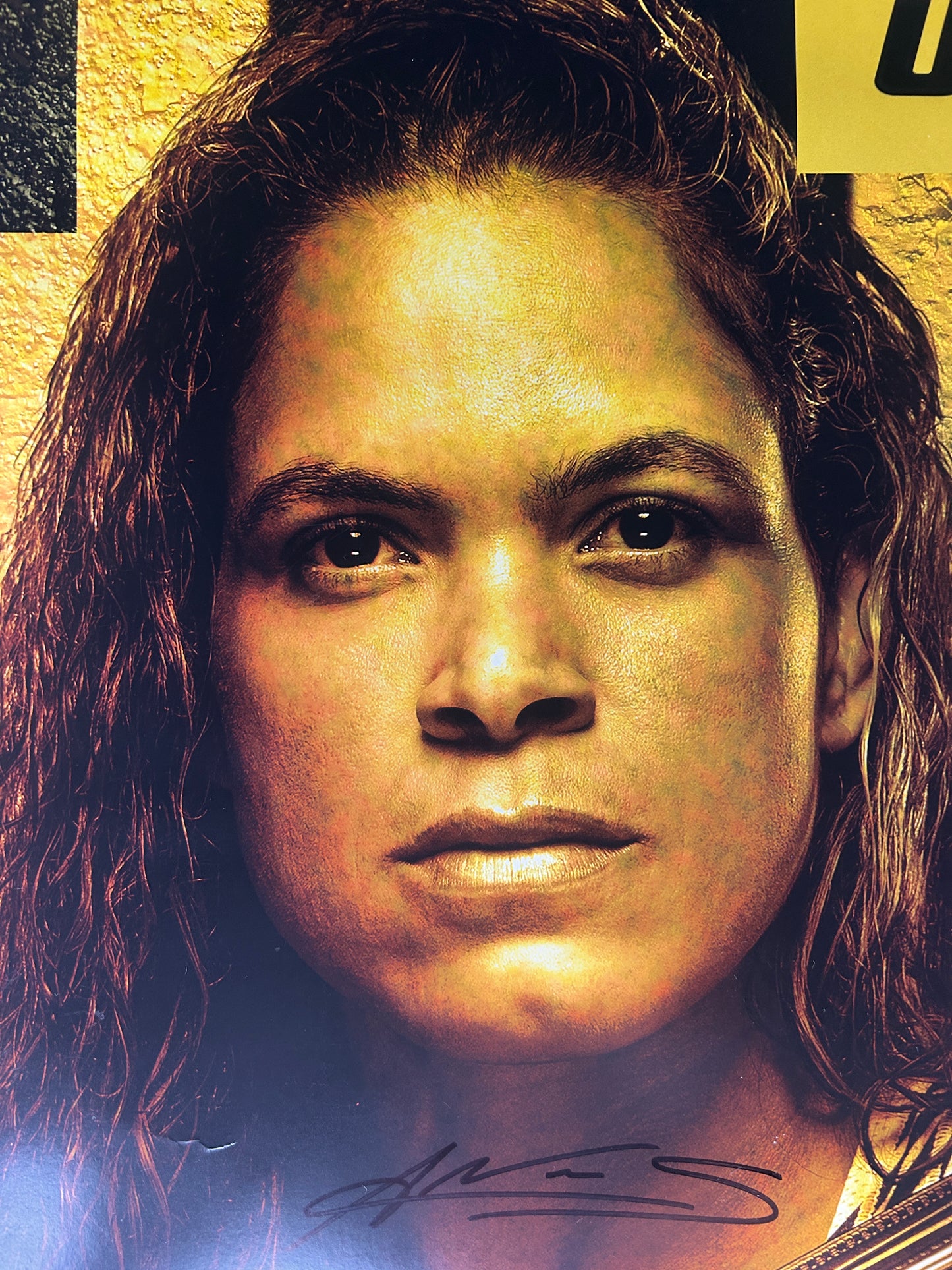 UFC 289 Amanda Nunes Vs Aldana Signed Event Poster