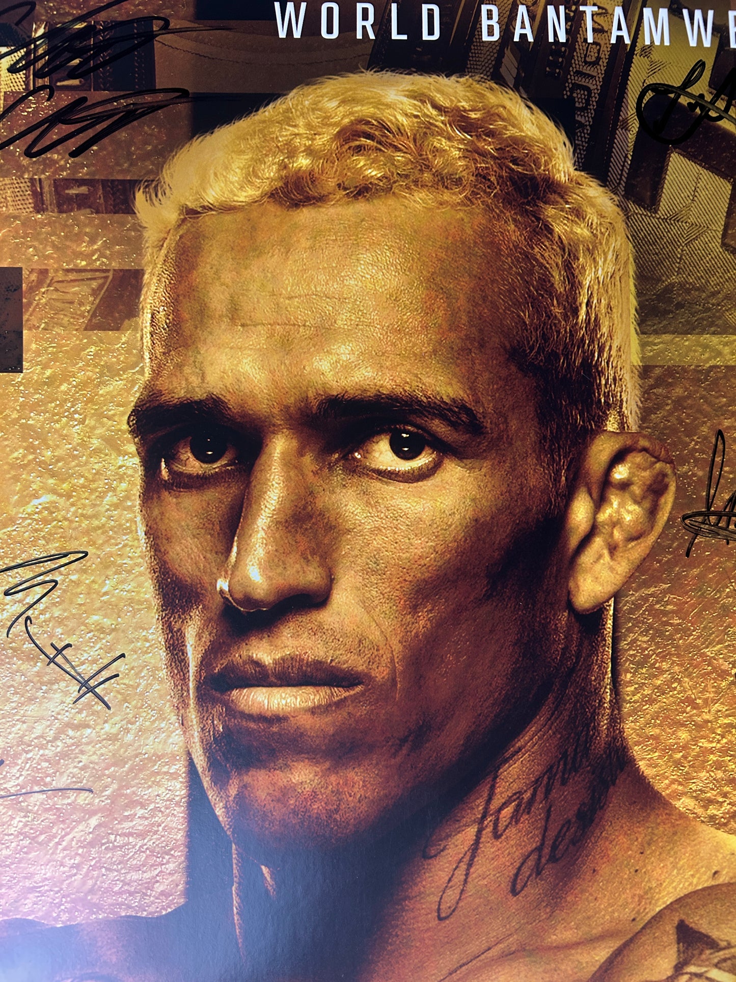 UFC 289 Amanda Nunes Vs Aldana Signed Event Poster