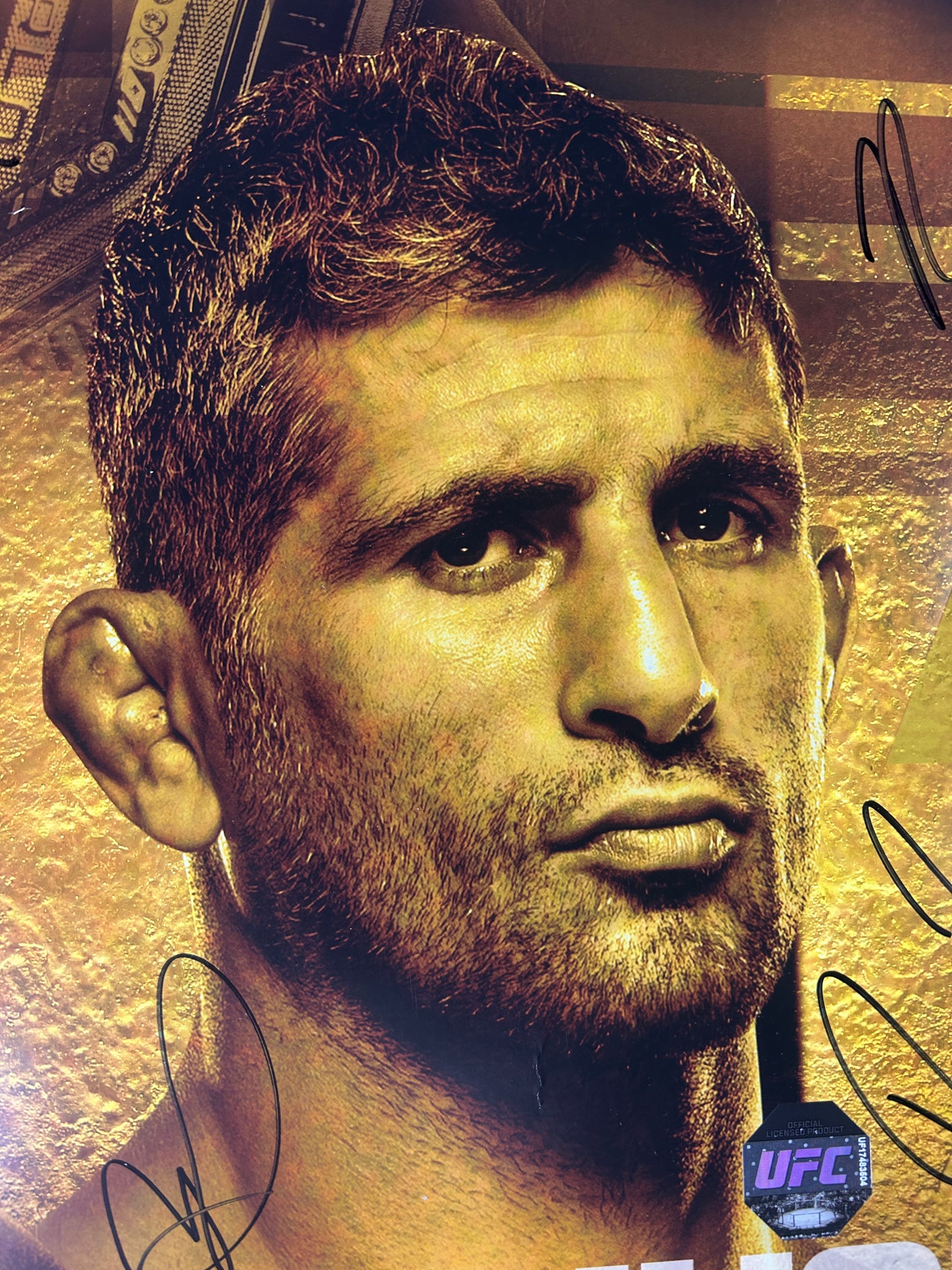 UFC 289 Amanda Nunes Vs Aldana Signed Event Poster