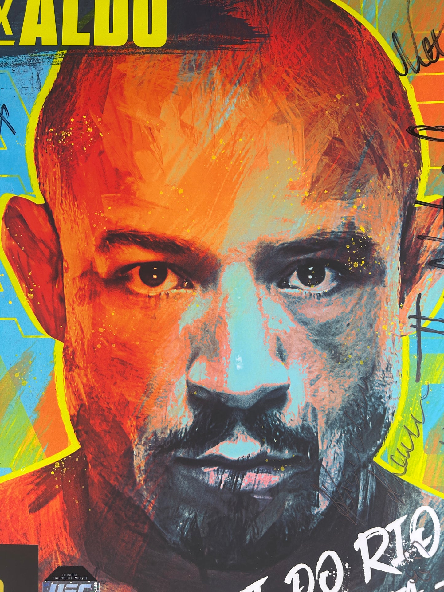 UFC 301 Pantoja vs. Erceg Signed Event Poster #1 of 140