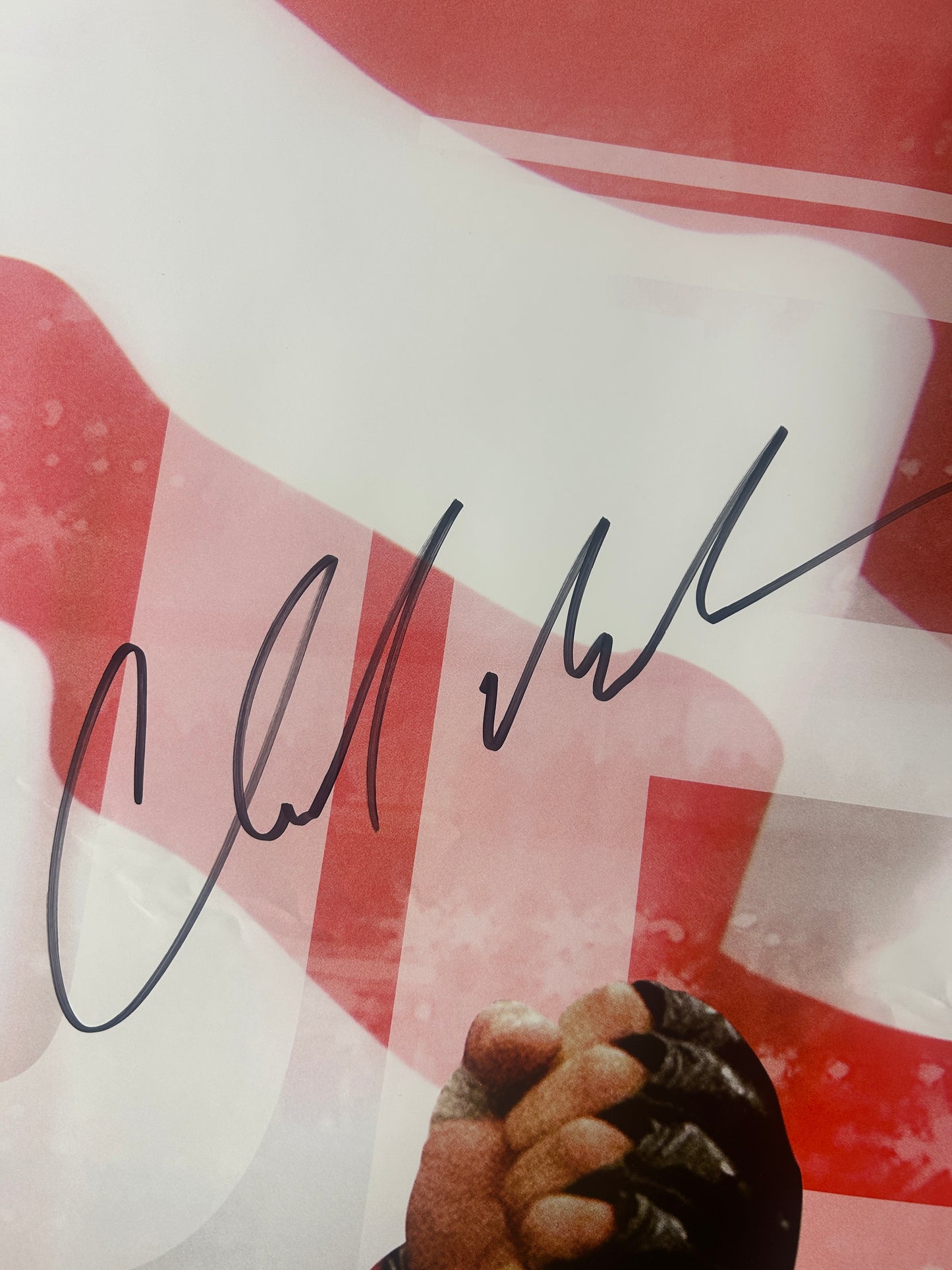 UFC 189 Conor McGregor Vs Mendes LE LIMITED EDITION Signed Poster