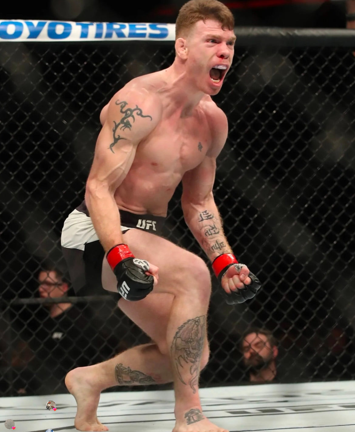 UFC Francis Ngannou vs Cain Velasquez Signed Event Poster