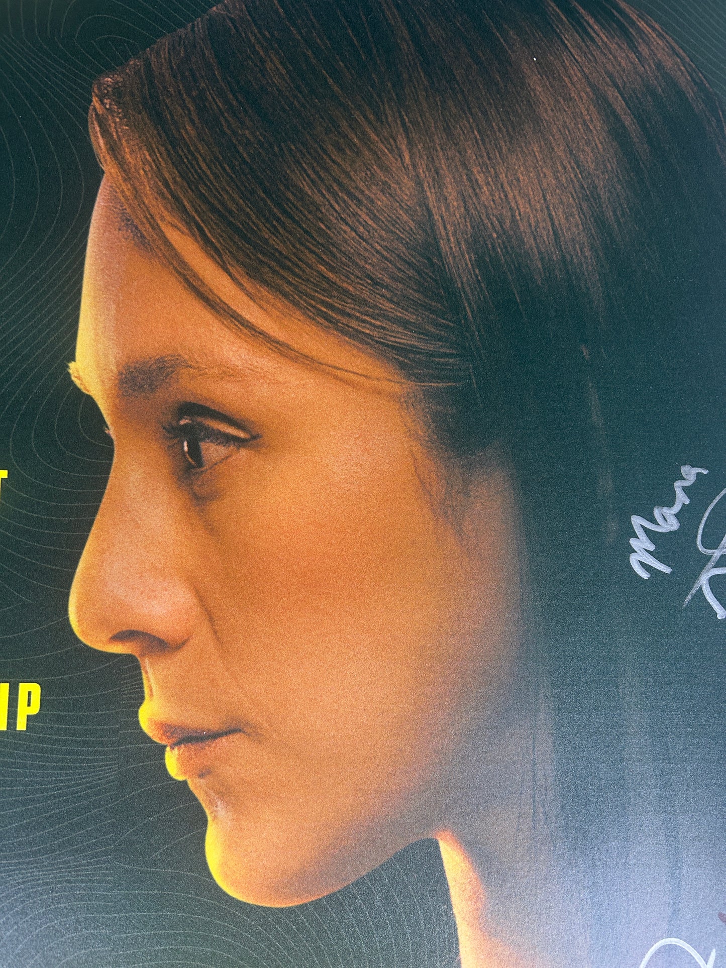 UFC 285 Shevchenko Vs Grasso Signed Event Poster