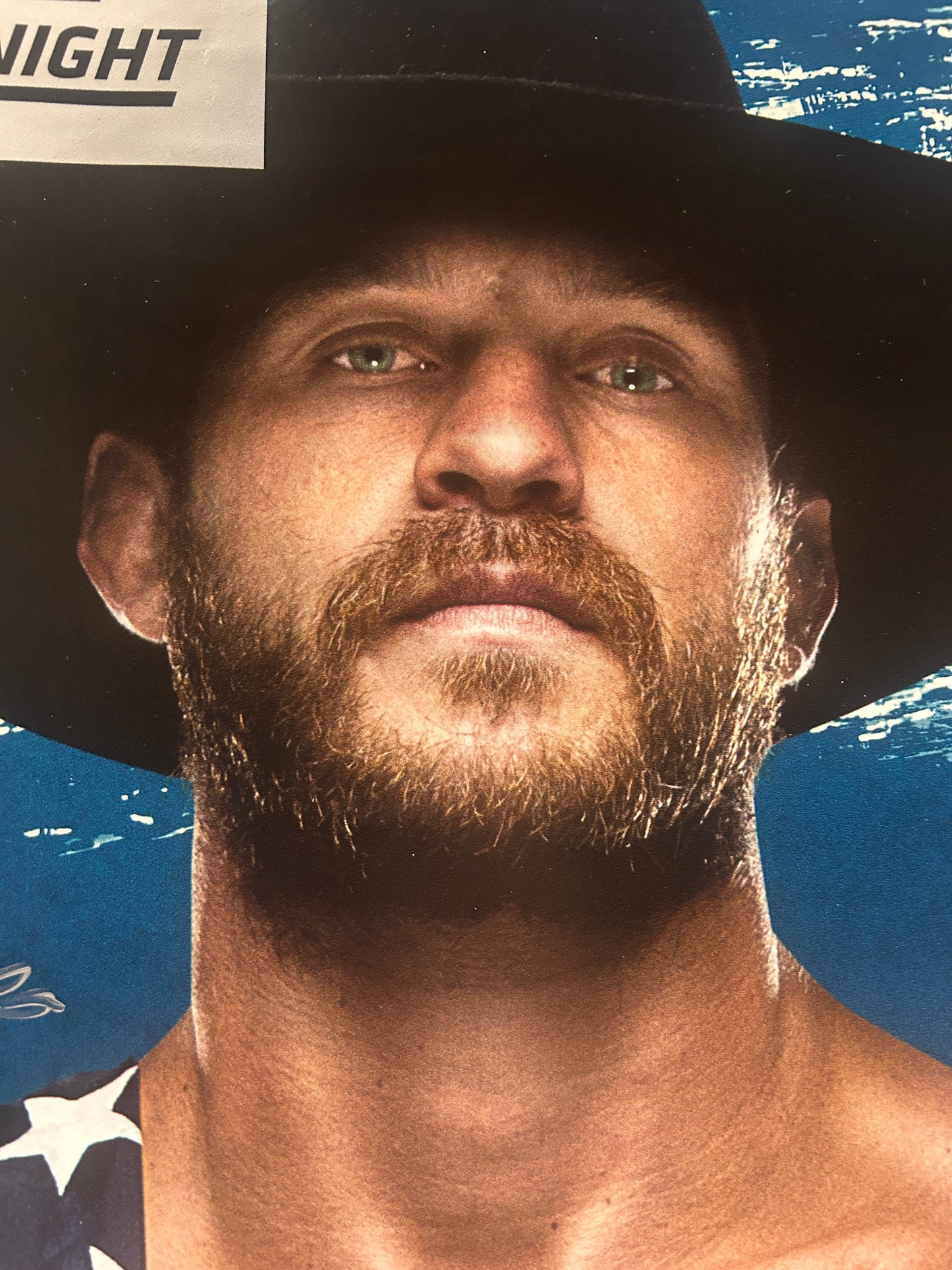 UFC Donald Cowboy Cerrone vs. Medeiros Signed Event Poster