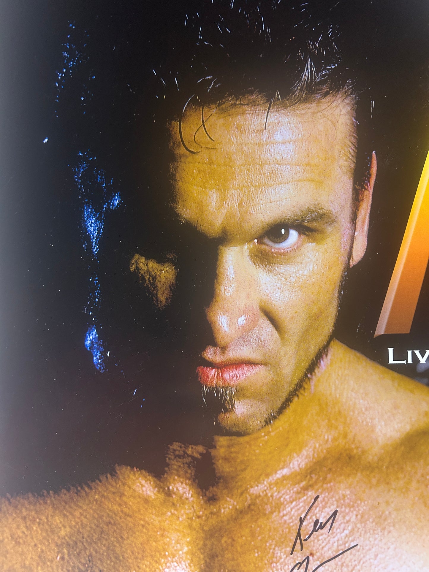 UFC TUF 1 Shamrock Vs Franklin Signed Event Poster