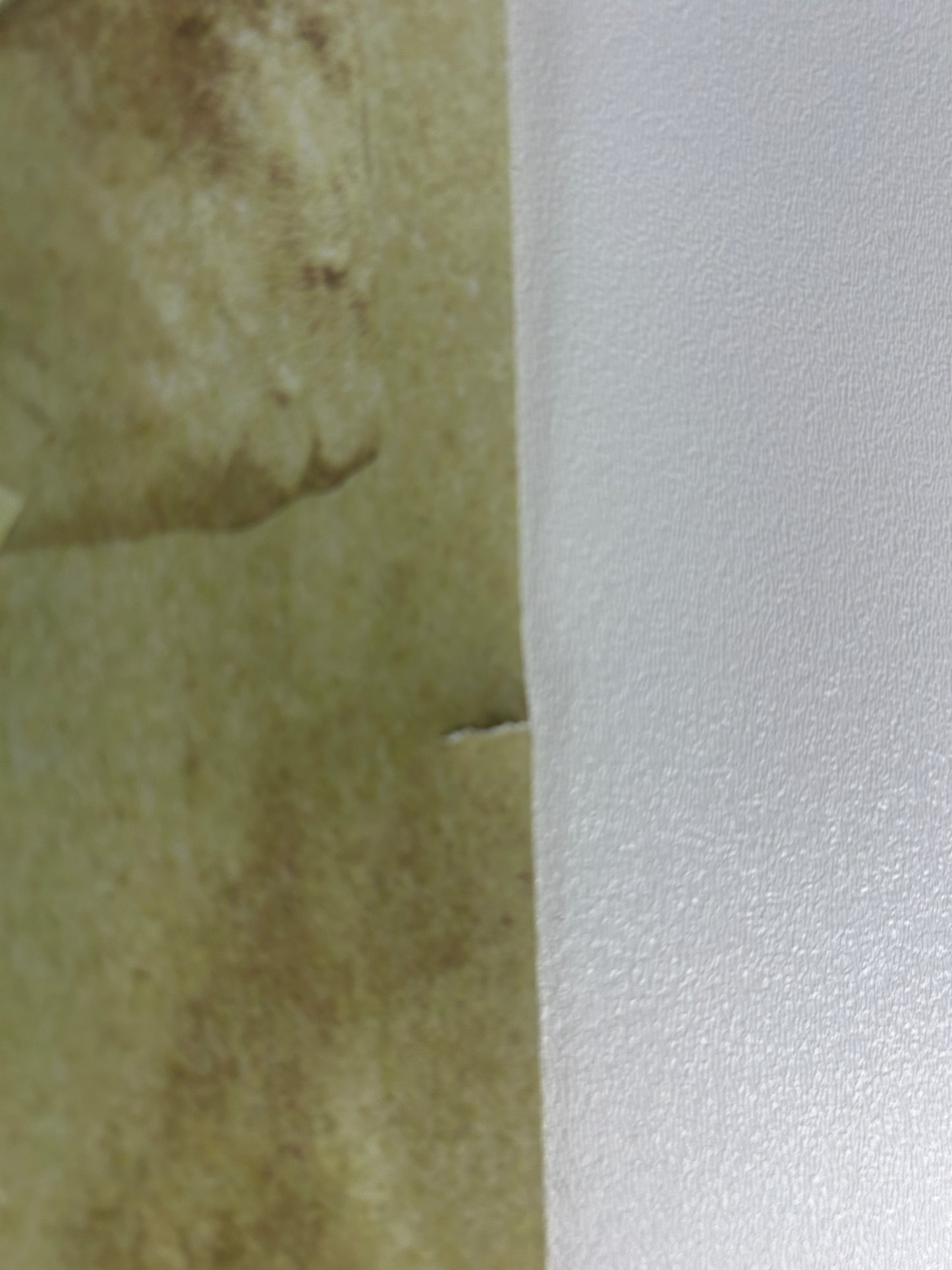 Metamoris 5: Sakuraba Vs Renzo Gracie Signed Event Poster