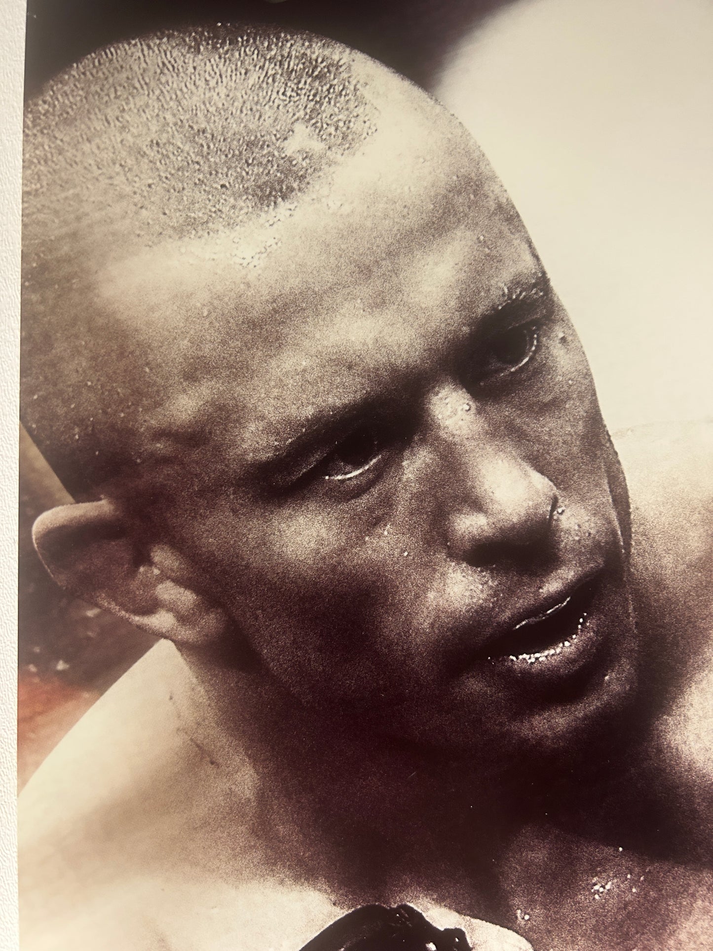 UFC 167 George St-Pierre Vs Johny Hendricks Signed Event Poster