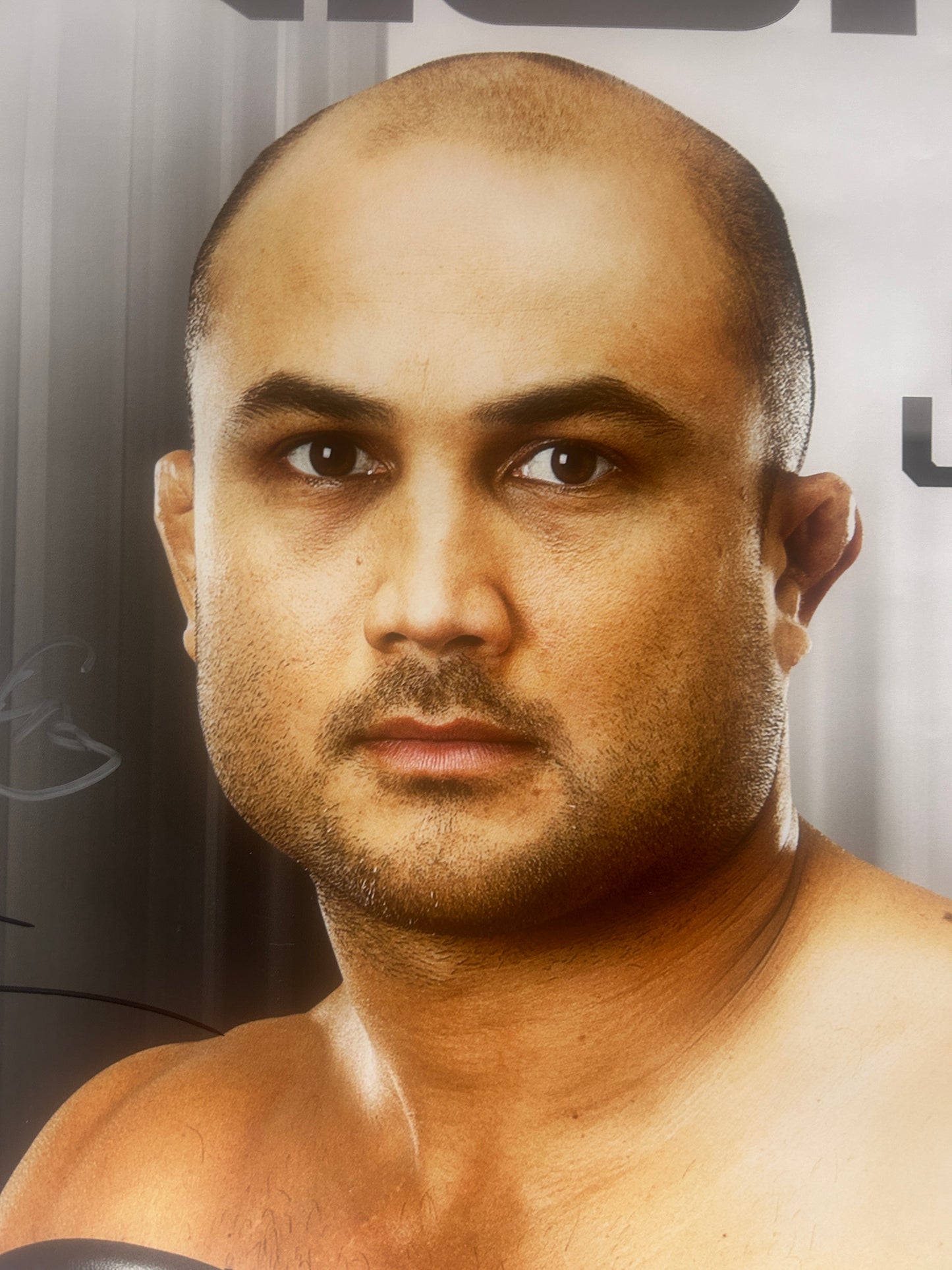 UFC 137 Nick Diaz Vs BJ Penn Signed Event Poster