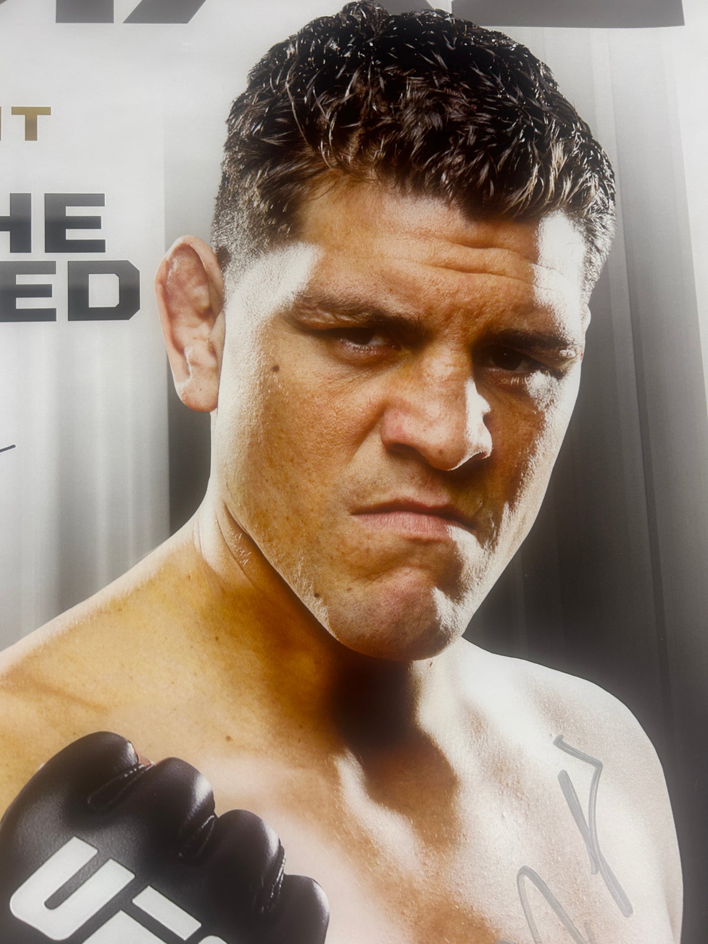 UFC 137 Nick Diaz Vs BJ Penn Signed Event Poster