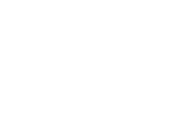 MMA Poster King