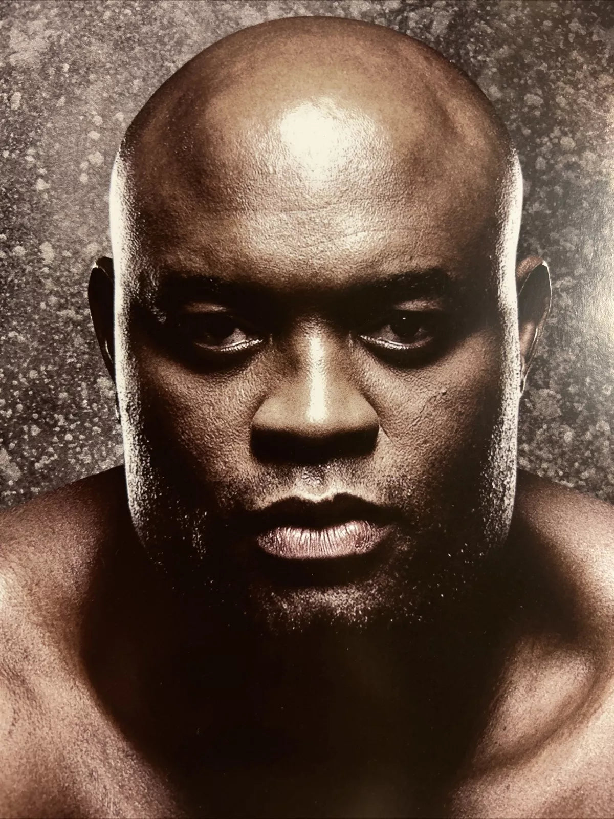 UFC 183 Anderson Silva Vs Nick Diaz Signed Event Poster SBC