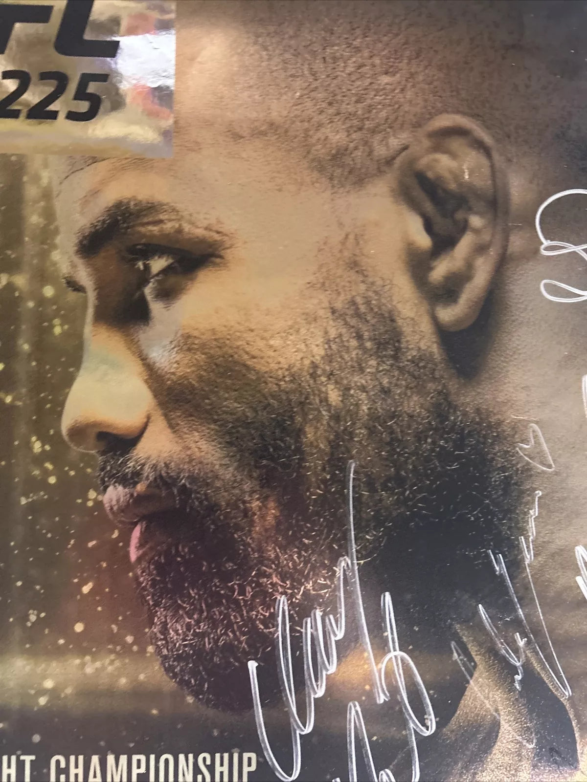 UFC 225 Whittaker Vs Yoel Romero 2 Signed Event Poster SBC