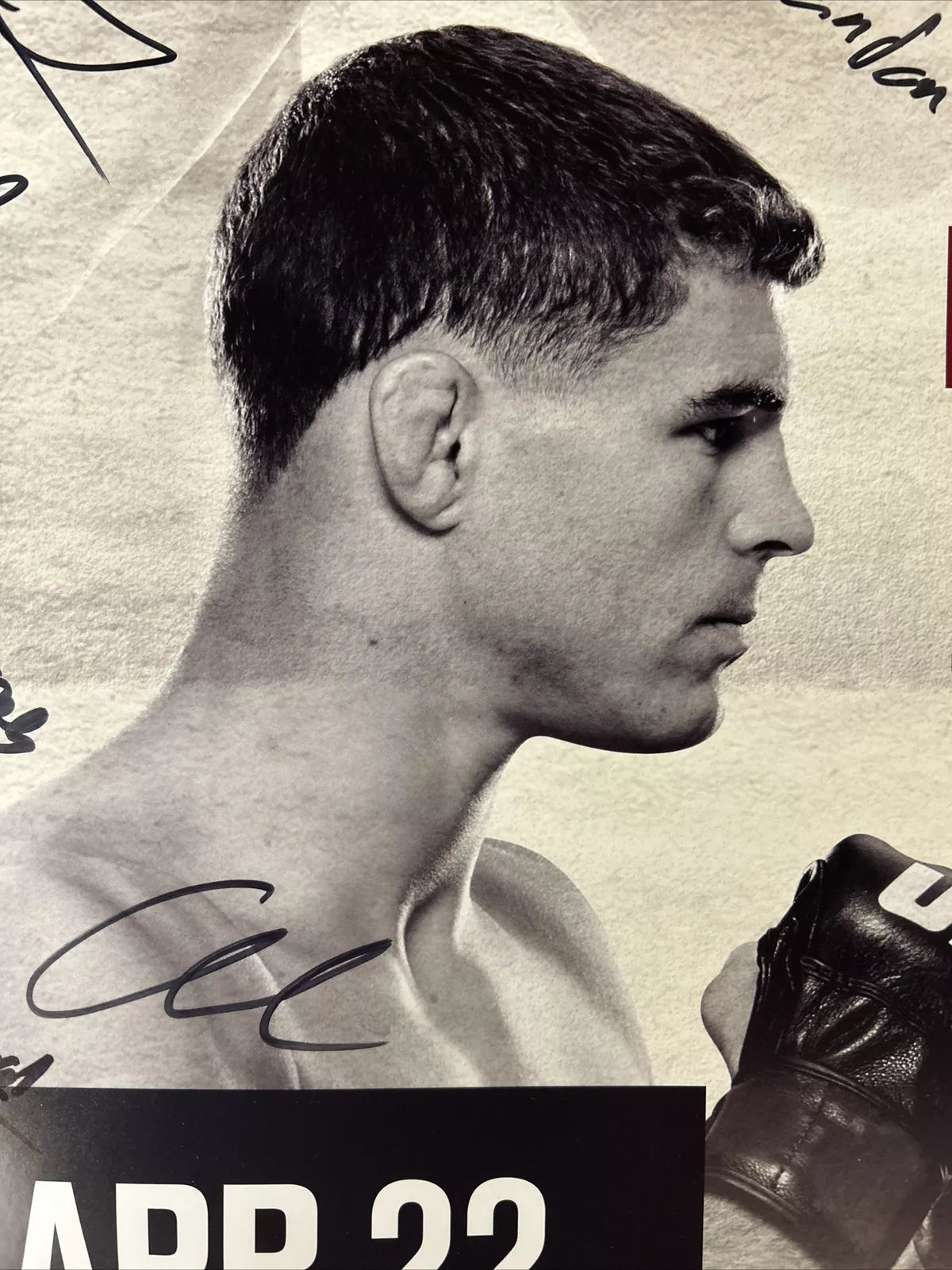 Cub Swanson Vs Artem Lobov UFC Signed Event Poster SBC