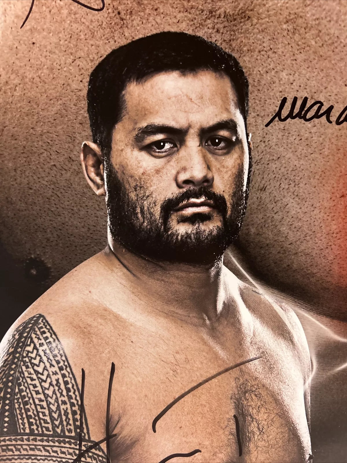 UFC on Fuel TV: Silva vs Brian Stann Signed Event Poster SBC JAPAN