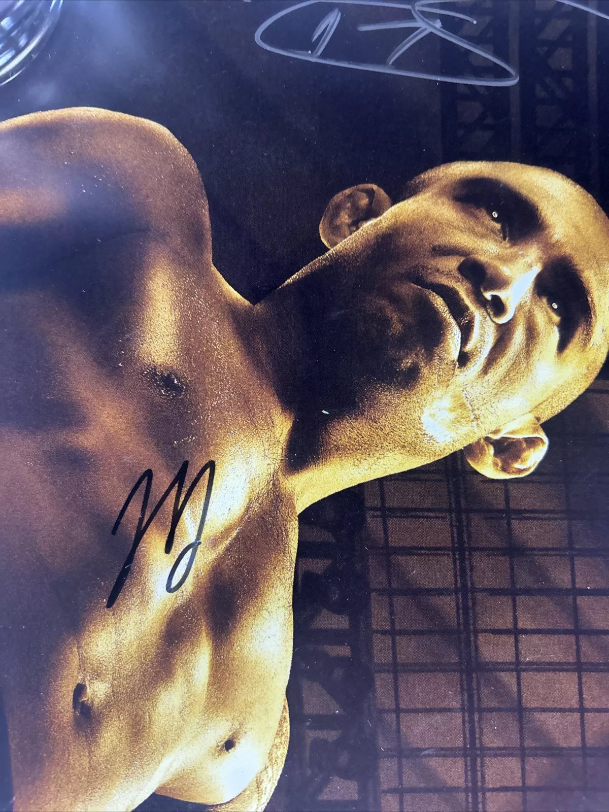 UFC 200 Miesha Tate Vs Amanda Nunes Signed Event Poster SBC FREE Ticket Stub