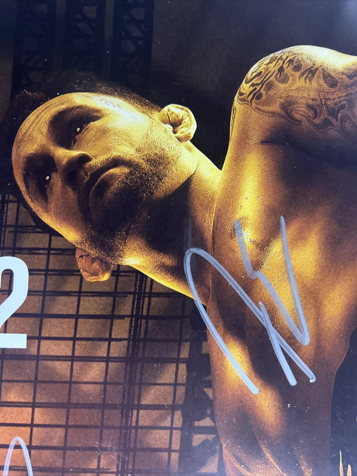 UFC 200 Miesha Tate Vs Amanda Nunes Signed Event Poster SBC FREE Ticket Stub